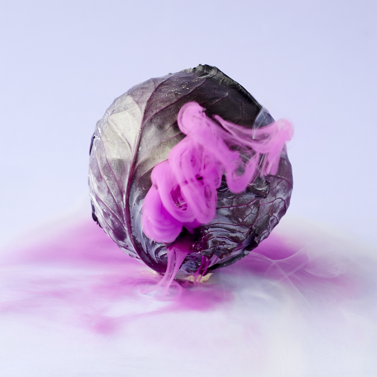 red_cabbage copy