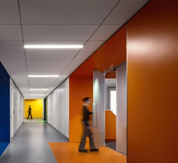 veracidad en el derecho laboral
